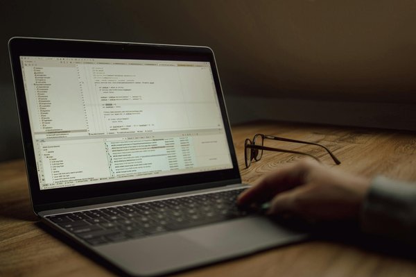 What are the benefits of pet training classes in the UK?